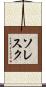 ソレスク Scroll