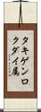 タキゲンロクダイ属 Scroll