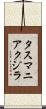 タスマニアクジラ Scroll