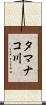 タマナコ川 Scroll