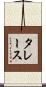 タレース Scroll