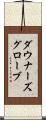 ダウナーズグローブ Scroll