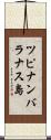 ツピナンバラナス島 Scroll