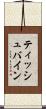 ティッシュバイン Scroll