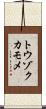 トウゾクカモメ Scroll