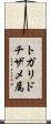 トガリドチザメ属 Scroll