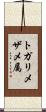 トガリメザメ属 Scroll