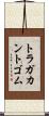トラガカントゴム Scroll