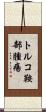 トルコ鞍部腫瘍 Scroll