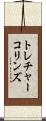 トレチャーコリンズ Scroll