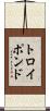 トロイポンド Scroll