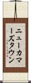 ニューカマーズタウン Scroll