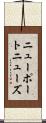 ニューポートニューズ Scroll