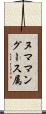 ヌママングース属 Scroll