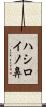 ハシロイノ鼻 Scroll
