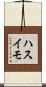 ハスイモ Scroll