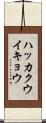 ハッカクウイキョウ Scroll