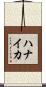 ハナイカ Scroll