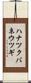 ハナツクバネウツギ Scroll