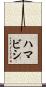 ハマビシ Scroll