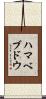 ハマベブドウ Scroll