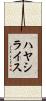 ハヤシライス Scroll