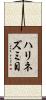 ハリネズミ目 Scroll