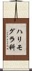 ハリモグラ科 Scroll