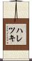 ハレツキ Scroll