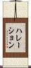 ハレーション Scroll