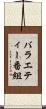 バラエティー番組 Scroll