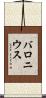 バロニウス Scroll