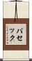 パセック Scroll