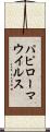 パピローマ・ウイルス Scroll