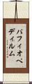 パフィオペディルム Scroll