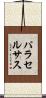 パラセルサス Scroll