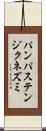 パンパステンジクネズミ Scroll