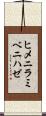ヒメニラミベニハゼ Scroll