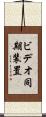ビデオ同期装置 Scroll