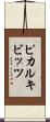 ピカルキビッツ Scroll