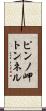 ピンノ岬トンネル Scroll