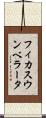 フィカス・ウンベラータ Scroll