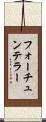 フォーチュンテラー Scroll