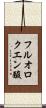 フルオロクエン酸 Scroll