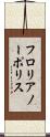 フロリアノーポリス Scroll