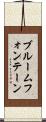 ブルームフォンテーン Scroll