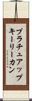 プラチュアップキーリーカン Scroll