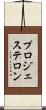 プロジェステロン Scroll