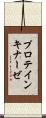 プロテイン・キナーゼ Scroll
