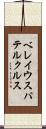ベレイウスパテルクルス Scroll